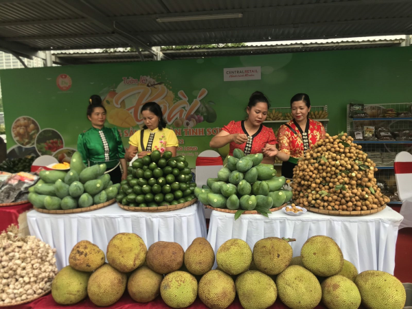 Kế Hoạch Tổ Chức Tuần Nông Sản Và Thực Phẩm An Toàn Tỉnh Sơn La Tại Hải Phòng Năm 2025