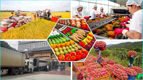 Cam kết gia nhập WTO của Việt Nam trong lĩnh vực hàng hoá